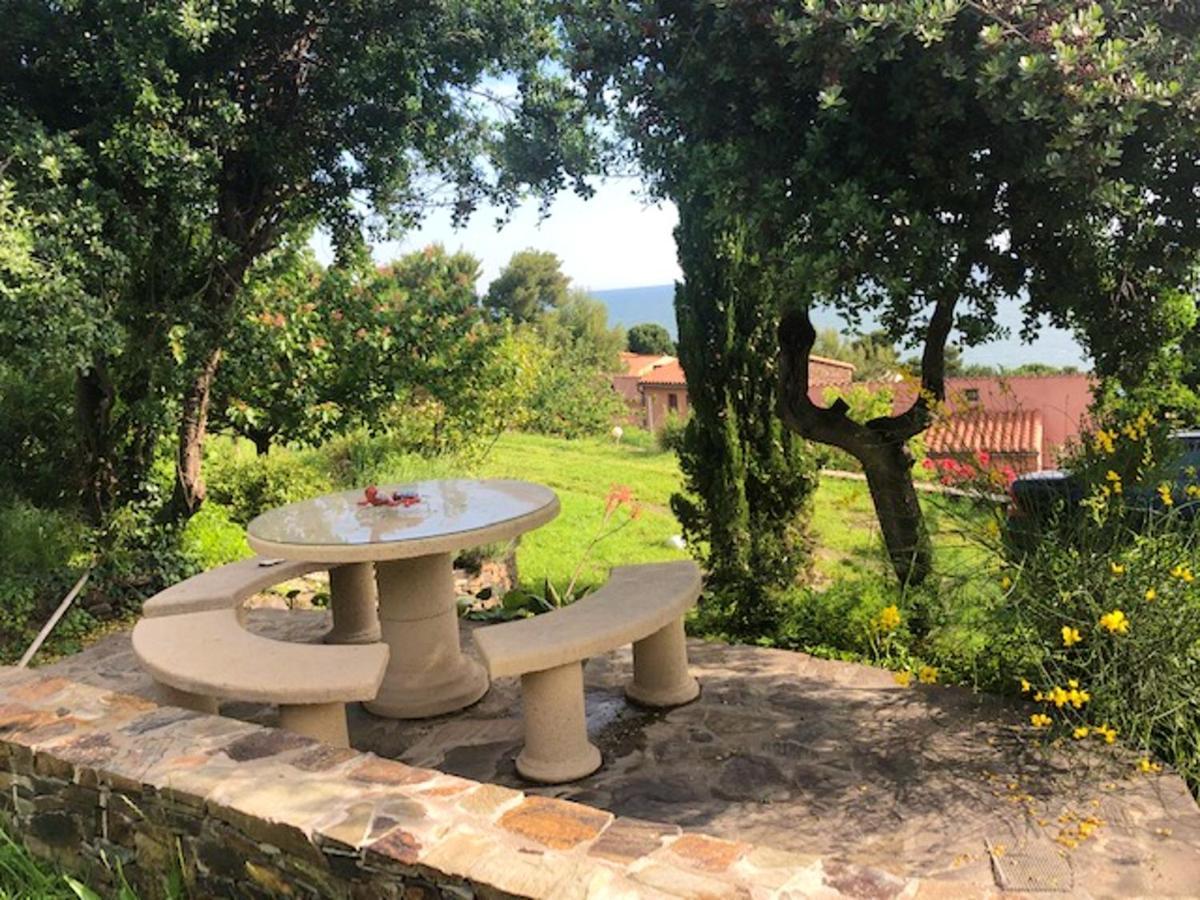 Appartement Lumineux A Collioure Avec Terrasse Et Vue Sur Mer Luaran gambar